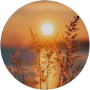 sridevi s profile picture